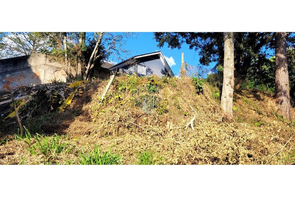 Terreno - Venda - Curitiba , Paraná - foto 1.jpg - 560251041-53