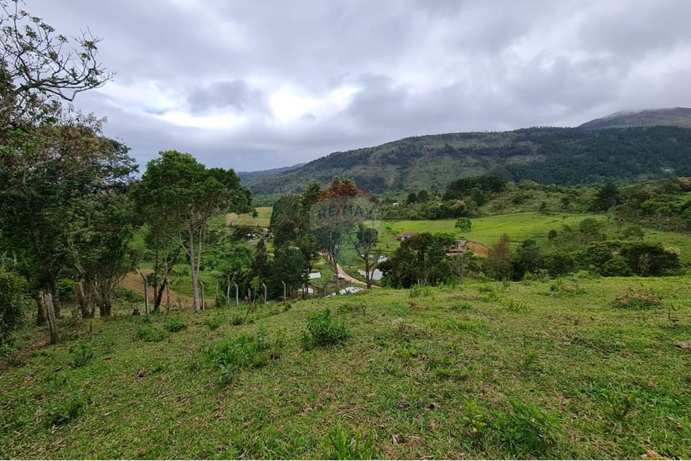 Chácara / Sítio / Fazenda - Venda - Tijucas do Sul , Paraná - 4283cfce-de5e-4440-9bd2-917aba951530.jpeg - 560391051-16