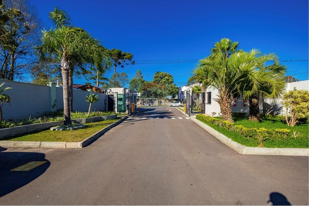 Apartamento - Venda - São José dos Pinhais , Paraná - IMG_2717_1.jpg - 560411051-213