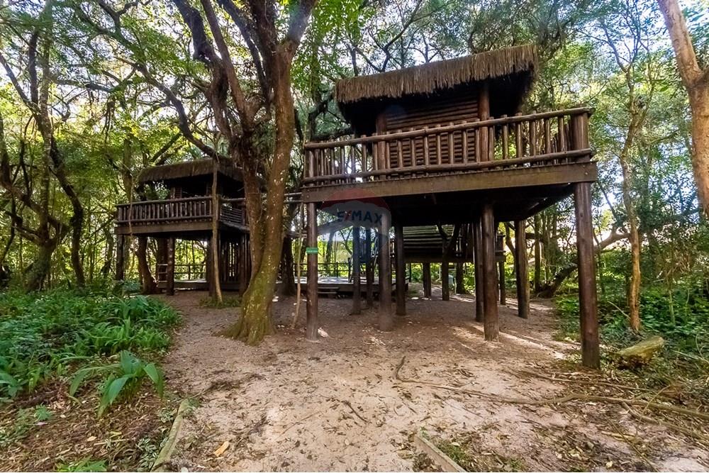 Apartamento - Alugar - Curitiba , Paraná - ProfPedroVPdeSouza-74.jpg - 560311047-548