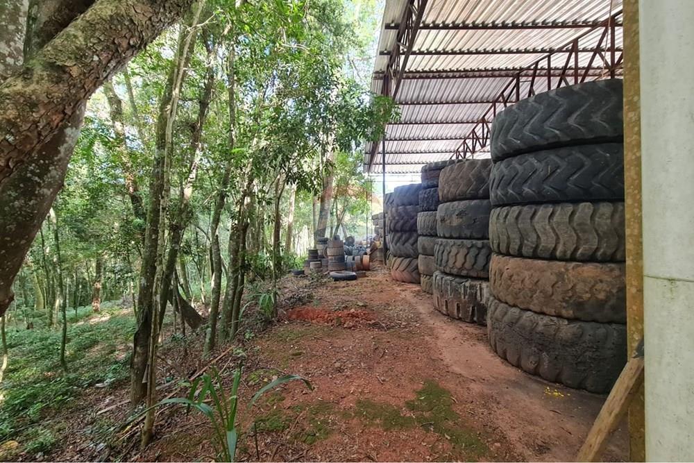 Galpão - Venda - São José dos Pinhais , Paraná - 89bc3cc5-4b9a-4236-8a12-56309b6f7cb4.jpeg - 560331128-20