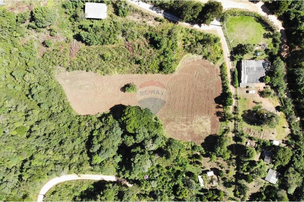 Chácara / Sítio / Fazenda - Venda - Campo Magro , Paraná - WhatsApp Image 2025-04-09 at 19.11.22 (1).jpeg - 560351106-18