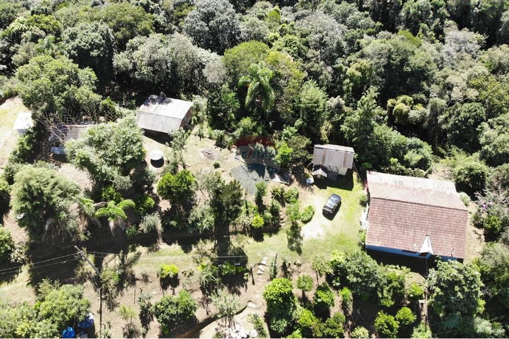 Chácara / Sítio / Fazenda - Venda - Campo Magro , Paraná - WhatsApp Image 2025-04-09 at 19.11.29.jpeg - 560351106-18