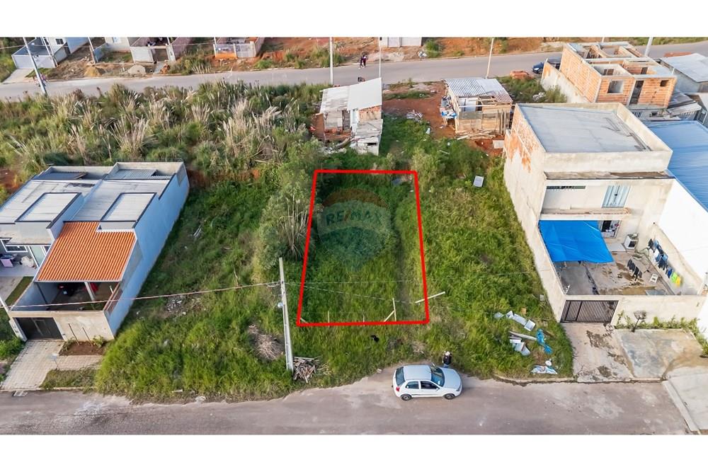 Terreno - Venda - Fazenda Rio Grande , Paraná - DJI_20250613164643_0088_Demarcada.jpg - 560341061-226