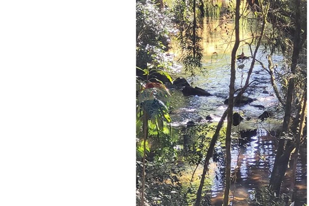 Chácara / Sítio / Fazenda - Venda - São José dos Pinhais , Paraná - 10.jpeg - 560331080-8