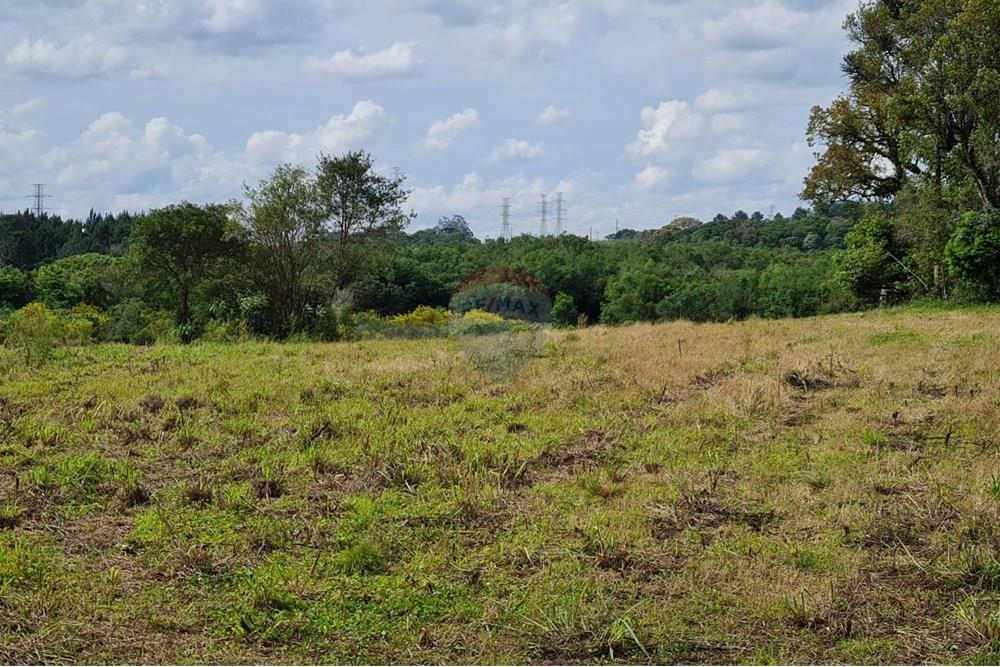 Chácara / Sítio / Fazenda - Venda - São José dos Pinhais , Paraná - 5a283949-82d3-4c6b-ad2d-c2802ff0cfb2.jpeg - 560331128-24