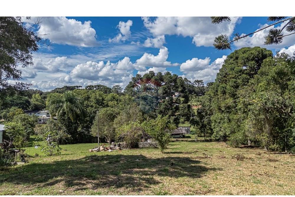 Chácara / Sítio / Fazenda - Venda - Campo Largo , Paraná - DJI_20260318144505_0853_D.jpg - 560321145-13