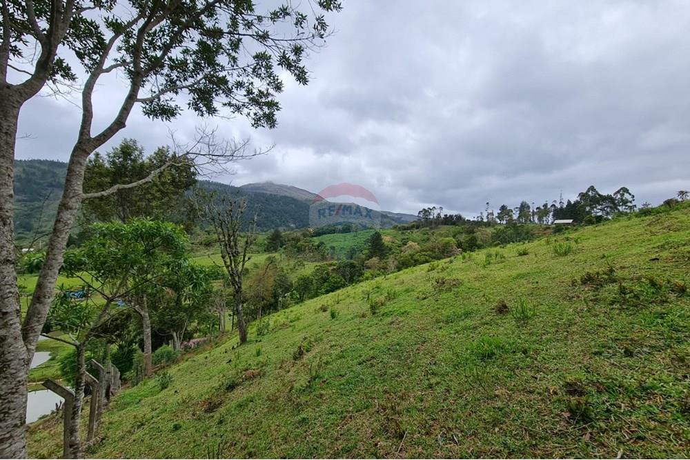 Chácara / Sítio / Fazenda - Venda - Tijucas do Sul , Paraná - 5835ada3-7cc0-441c-97d0-5a296bb060b9.jpeg - 560391051-16