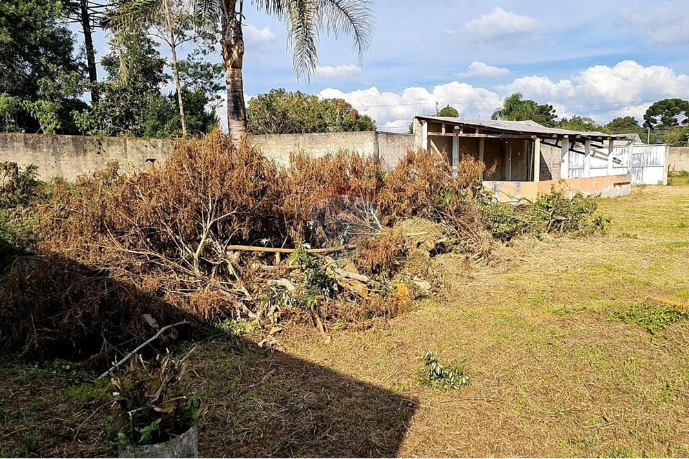 Terreno - Venda - São José dos Pinhais , Paraná - 254878ce-2da6-45c6-bb50-91890f9e7e6f.jpeg - 560391051-19