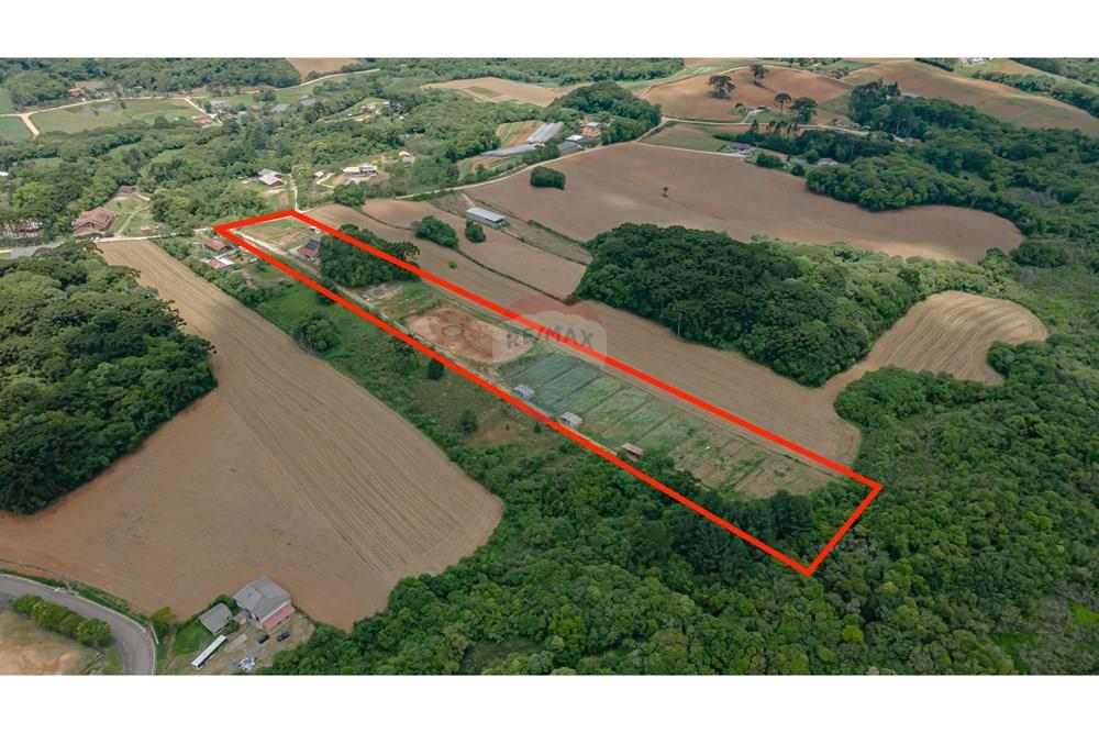 Chácara / Sítio / Fazenda - Venda - Campo Magro , Paraná - Rua Guarapuava (João Alex) 356-74 - cópia.jpg - 560331069-78