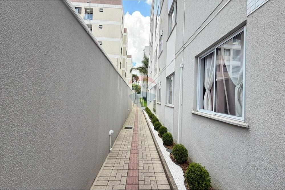 Apartamento - Venda - São José dos Pinhais , Paraná - WhatsApp Image 2026-01-08 at 16.39.43.jpeg - 560481002-29