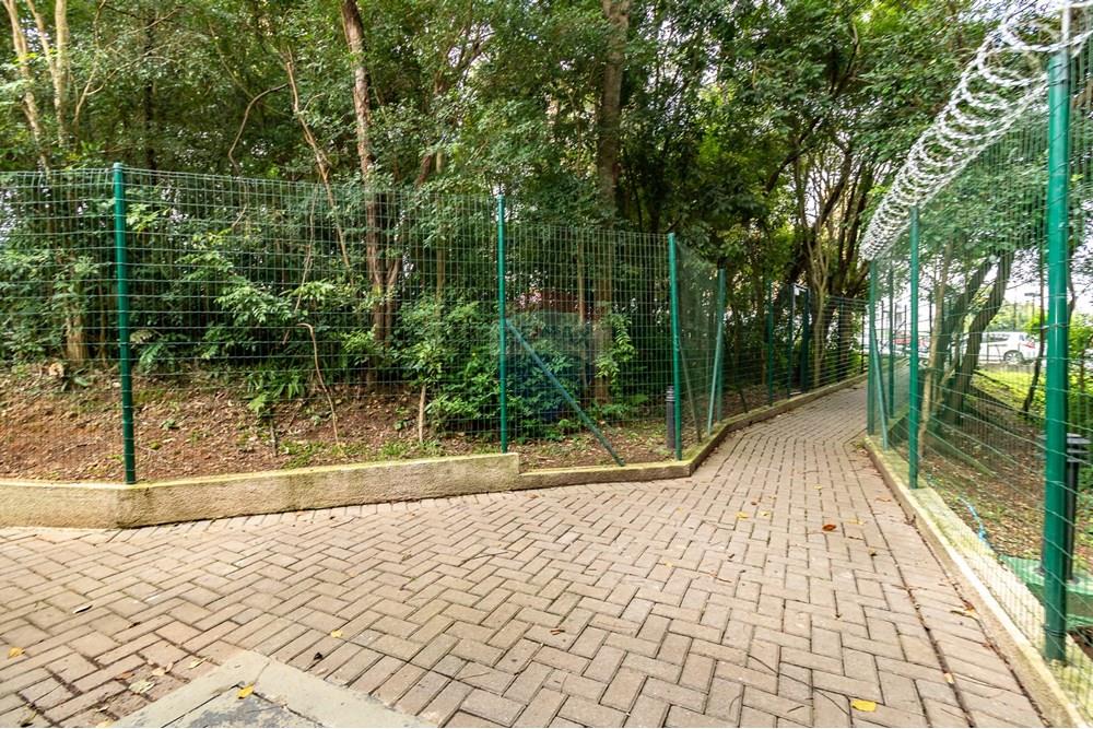 Apartamento - Alugar - Curitiba , Paraná - IMG_8959.jpg - 560311047-547