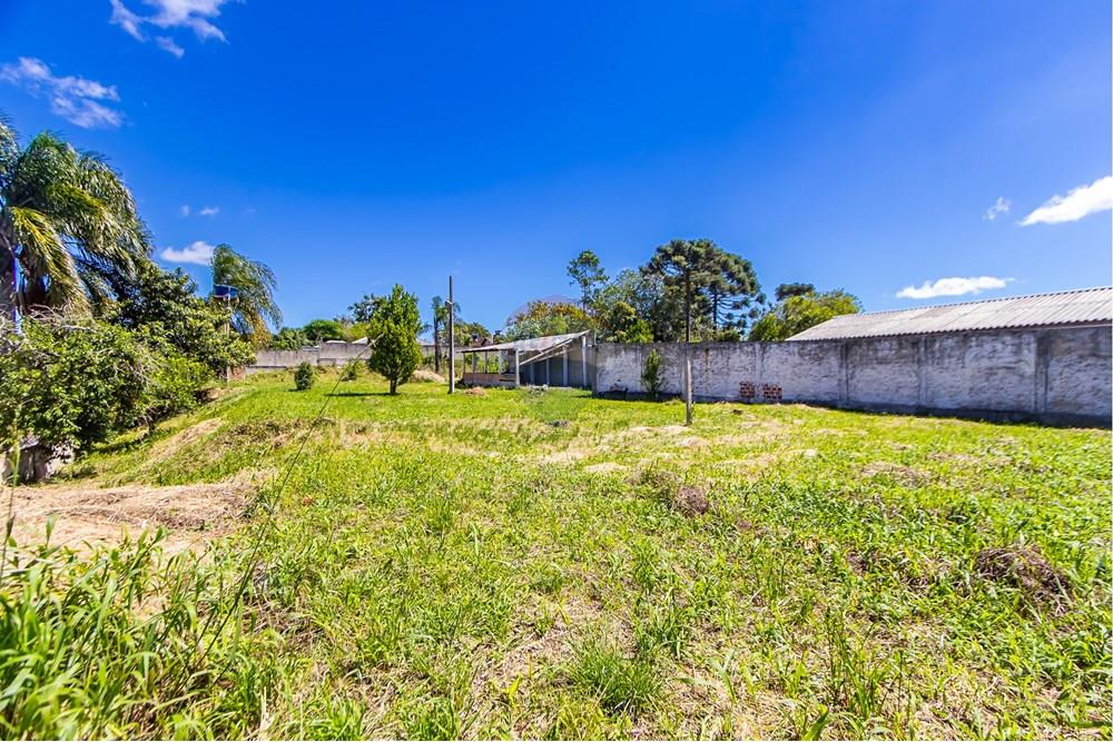 Terreno - Venda - São José dos Pinhais , Paraná - IMG_7253.JPG - 560391051-19