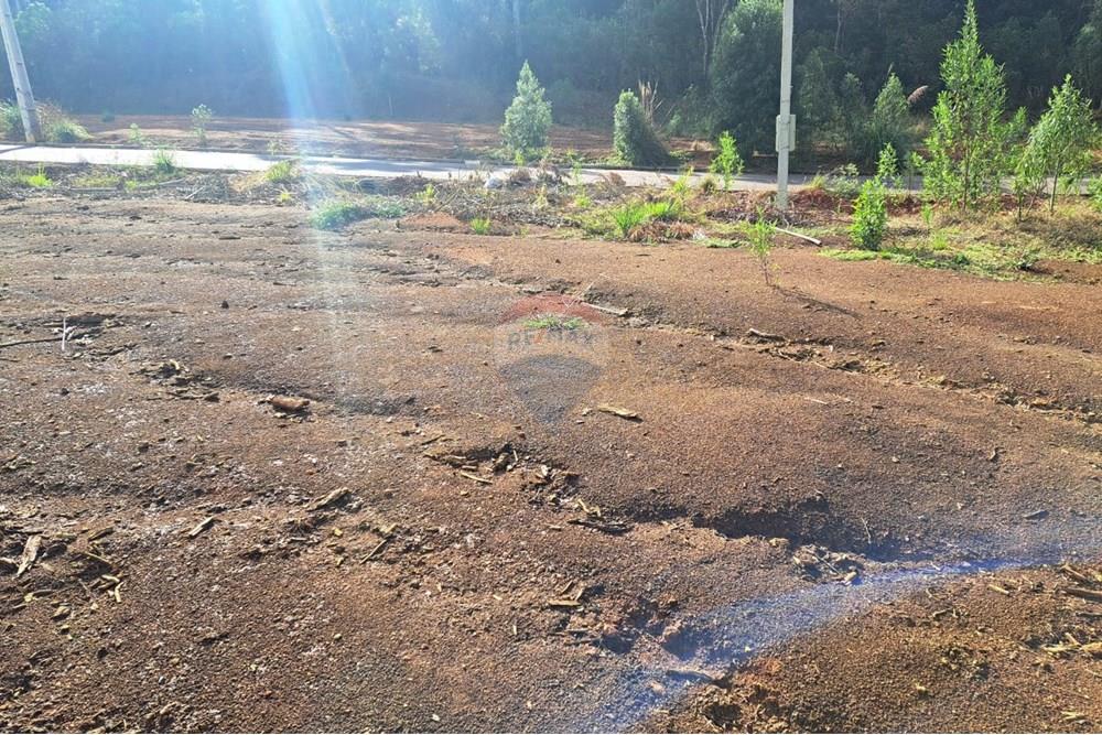 Terreno - Venda - Fazenda Rio Grande , Paraná - WhatsApp Image 2025-08-29 at 19.16.43.jpeg - 560441032-9