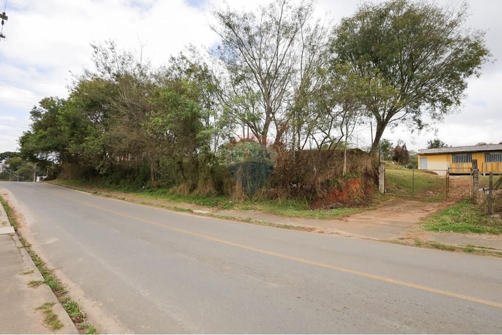 Chácara / Sítio / Fazenda - Venda - Almirante Tamandaré , Paraná - WhatsApp Image 2025-08-29 at 20.09.38(1).jpeg - 560461004-19