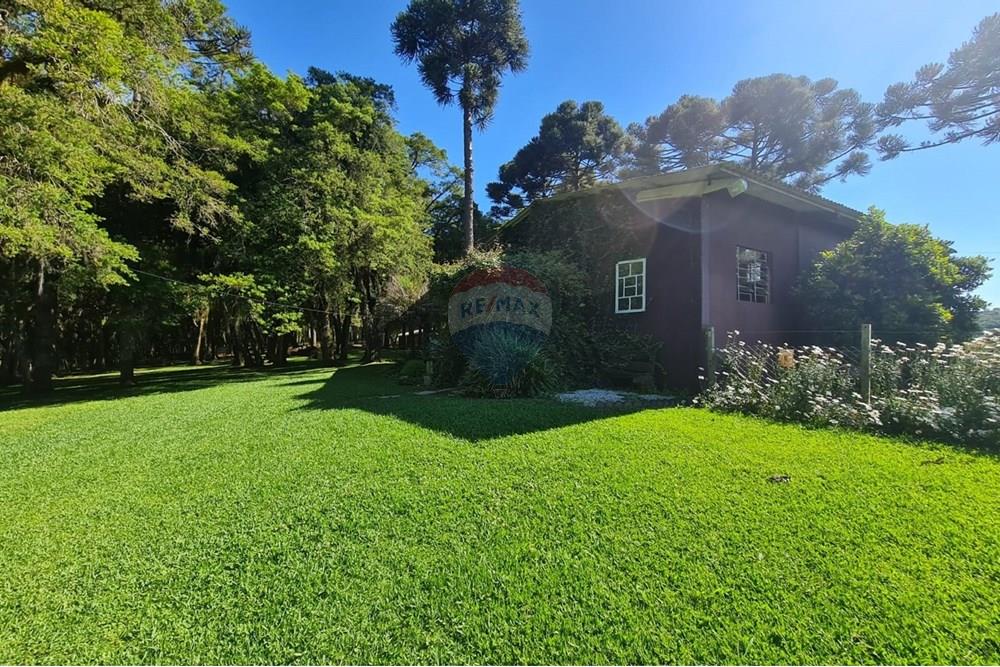 Casa Comercial - Alugar - São José dos Pinhais , Paraná - 415335d3-e0c9-45d1-b87f-66b706a57ecd.jpeg - 560331128-18