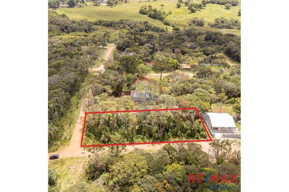 Terreno - Venda - São José dos Pinhais , Paraná - 3 - 560251029-43