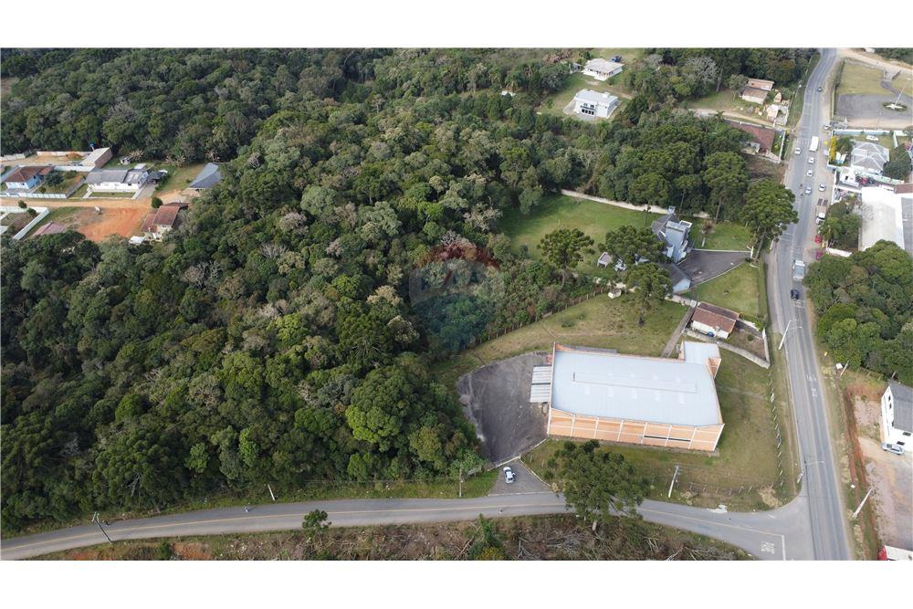 Terreno - Venda - São José dos Pinhais , Paraná - 6 - 560341114-47