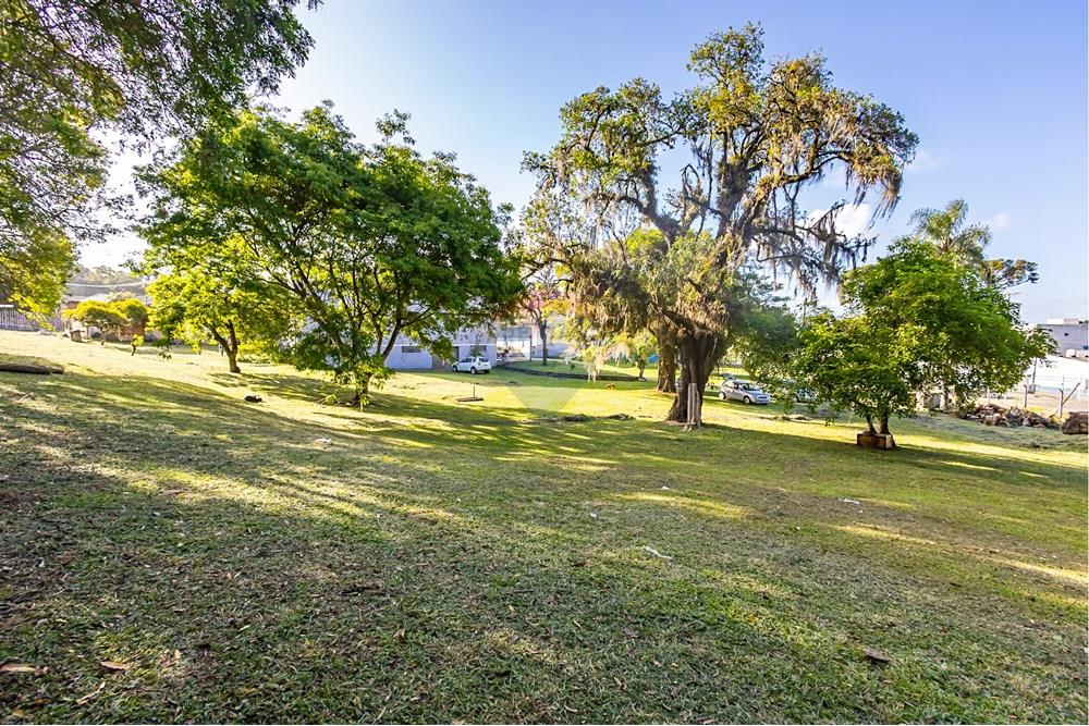 Terreno - Venda - Colombo , Paraná - IMG_9258.jpg - 560321090-43