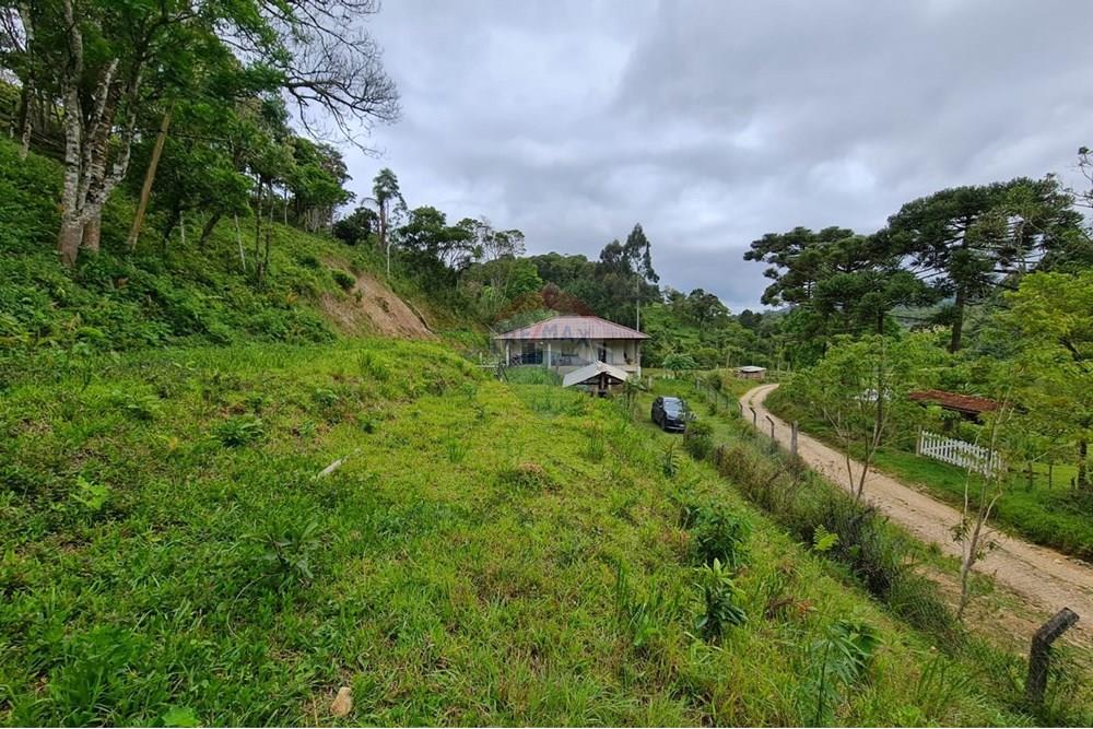 Chácara / Sítio / Fazenda - Venda - Tijucas do Sul , Paraná - 4a49148e-9dcb-4216-abfb-4d9e54b8b01f.jpeg - 560391051-16