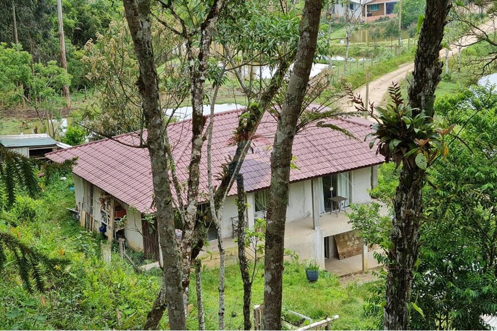 Chácara / Sítio / Fazenda - Venda - Tijucas do Sul , Paraná - 9da95d64-4430-435c-92e4-57191efa0a57.jpeg - 560391051-16