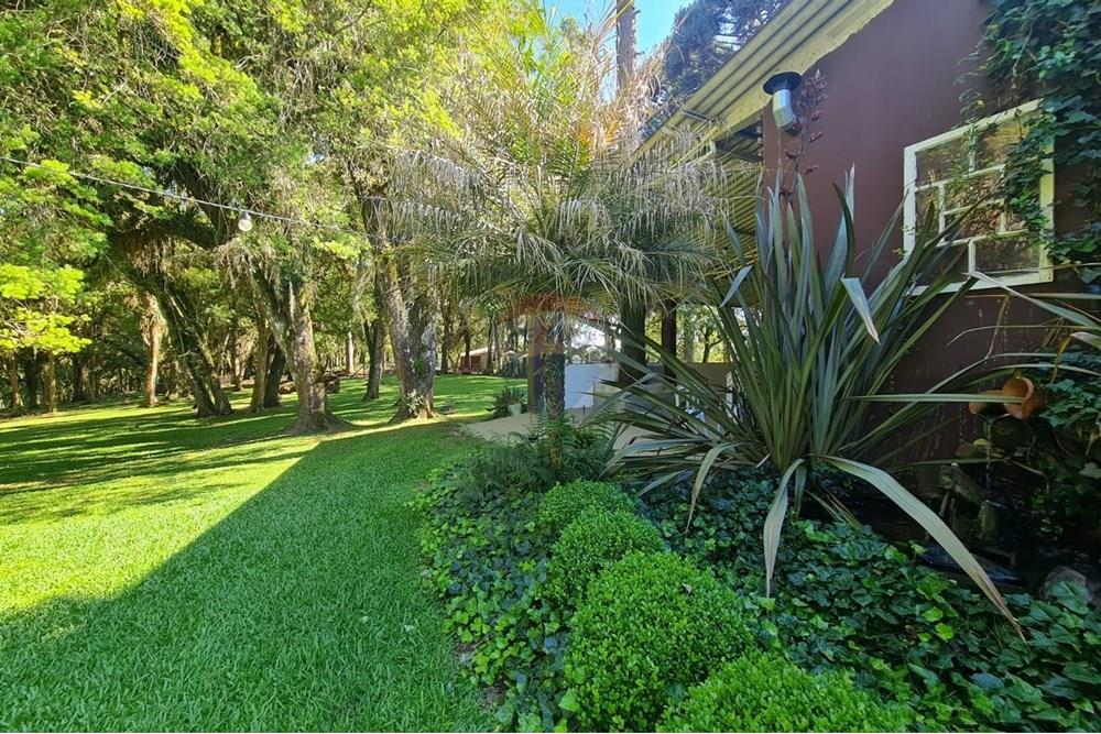 Casa Comercial - Alugar - São José dos Pinhais , Paraná - b6011ab4-e134-40eb-bf7d-f939b817f04e.jpeg - 560331128-18