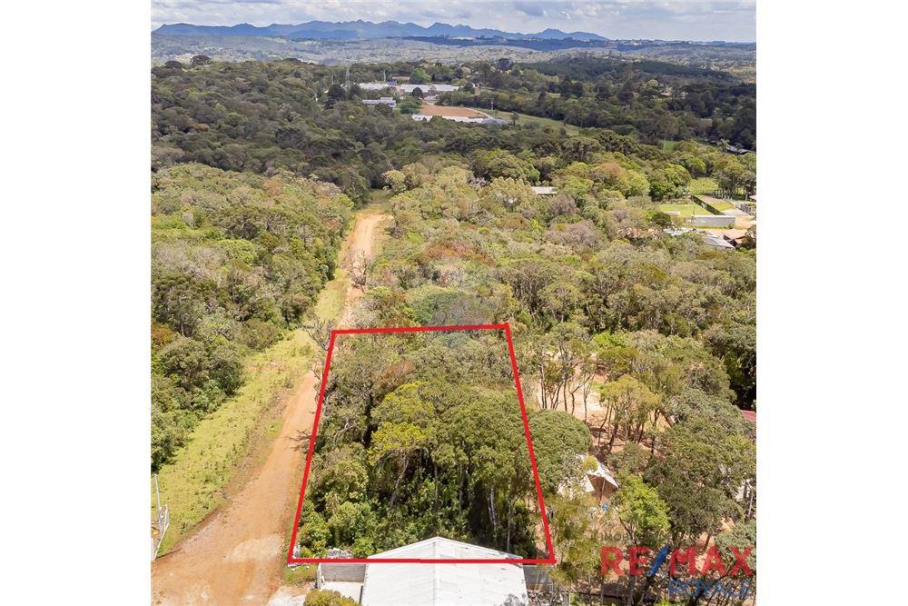 Terreno - Venda - São José dos Pinhais , Paraná - 9 - 560251029-43