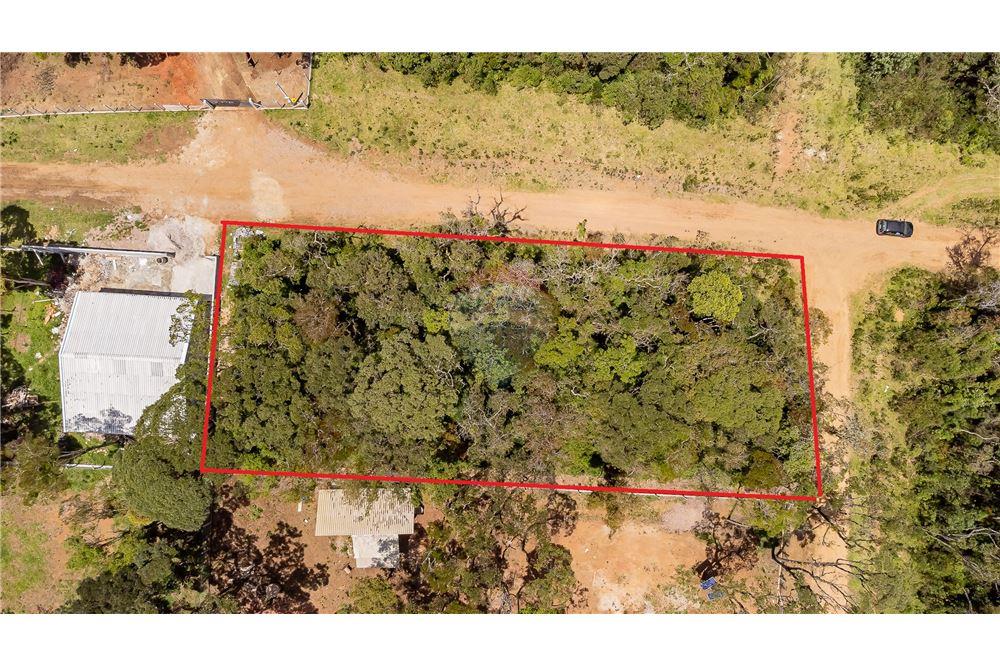 Terreno - Venda - São José dos Pinhais , Paraná - 13 - 560251029-43