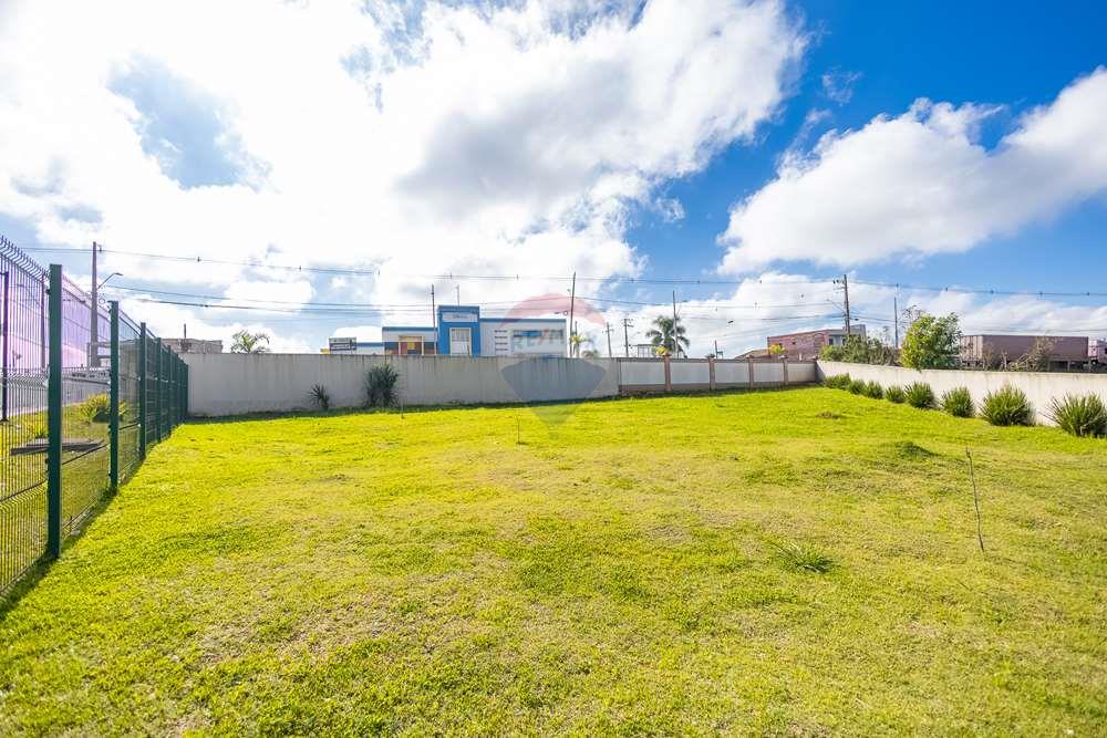 Apartamento - Venda - Araucária , Paraná - IMG_3358.jpg - 560251029-41