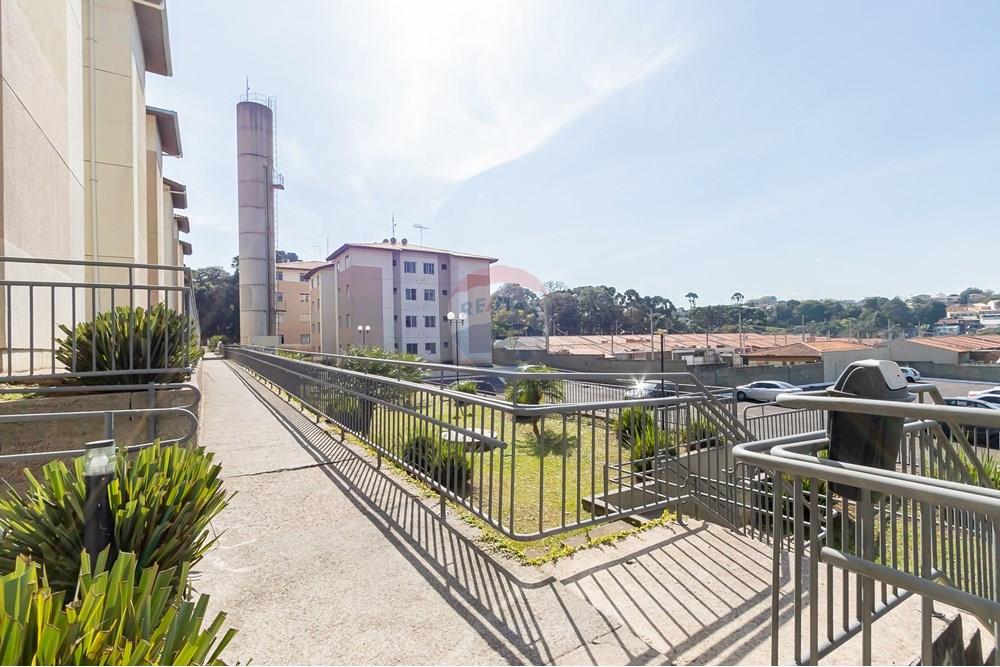 Apartamento - Alugar - Curitiba , Paraná - IMG_1311 (1).jpg - 560331110-15