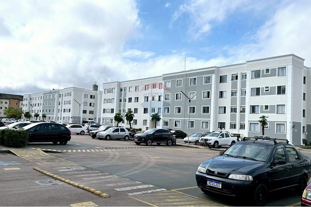 Apartamento - Alugar - São José dos Pinhais , Paraná - IMG_8954.JPG - 560411032-67