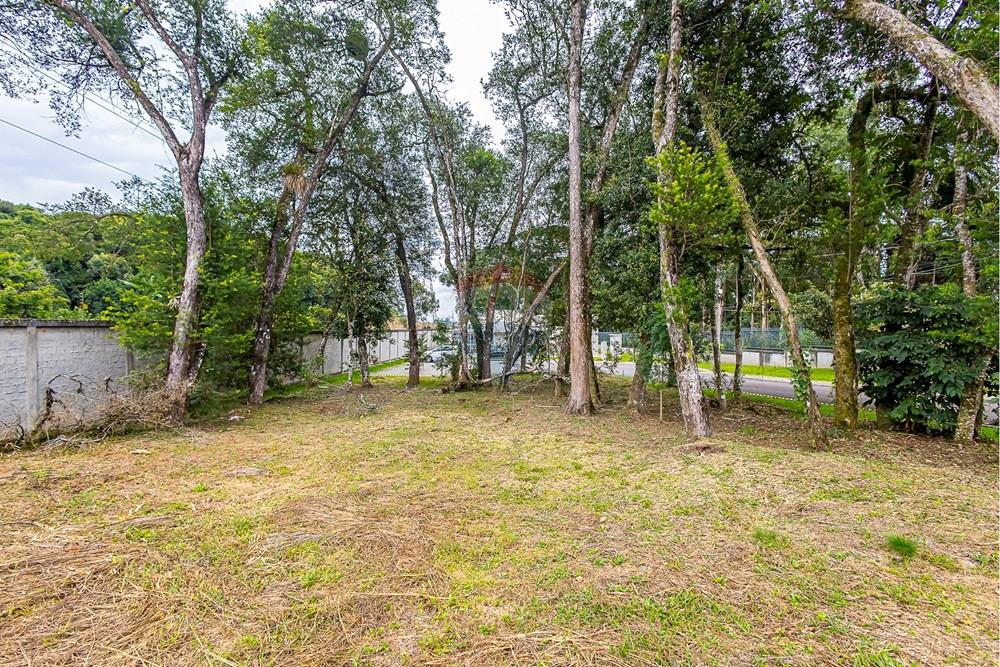 Terreno - Venda - Curitiba , Paraná - SHEEP - IMG_2553_1.jpg - 560341101-20