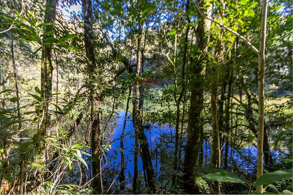 Chácara / Sítio / Fazenda - Venda - Piraquara , Paraná - IMG_3627.jpg - 560431012-39