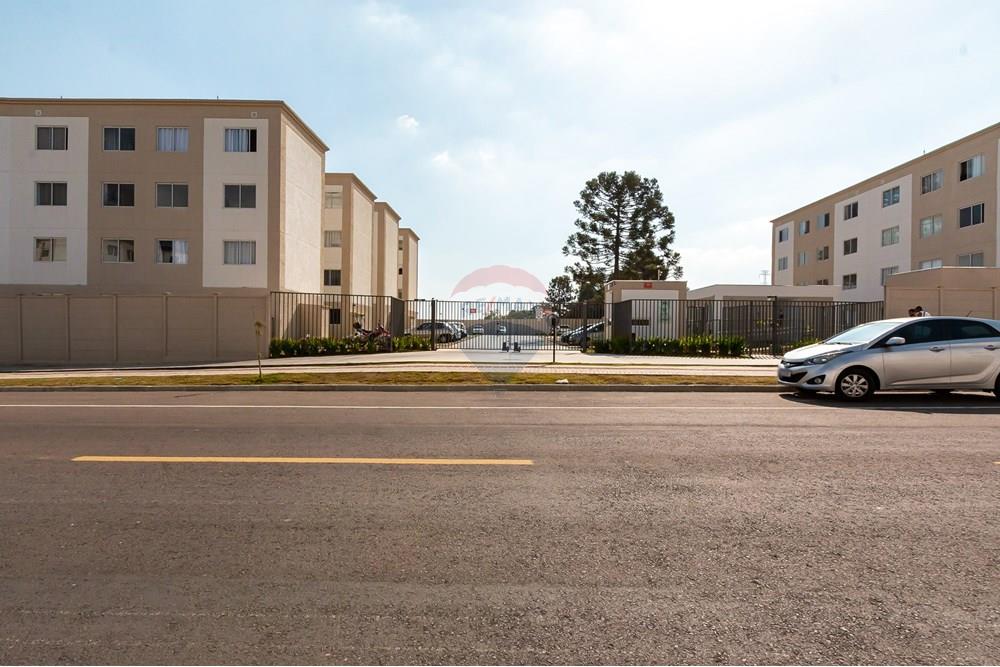 Apartamento - Venda - São José dos Pinhais , Paraná - IMG_4413.jpg - 560321131-15