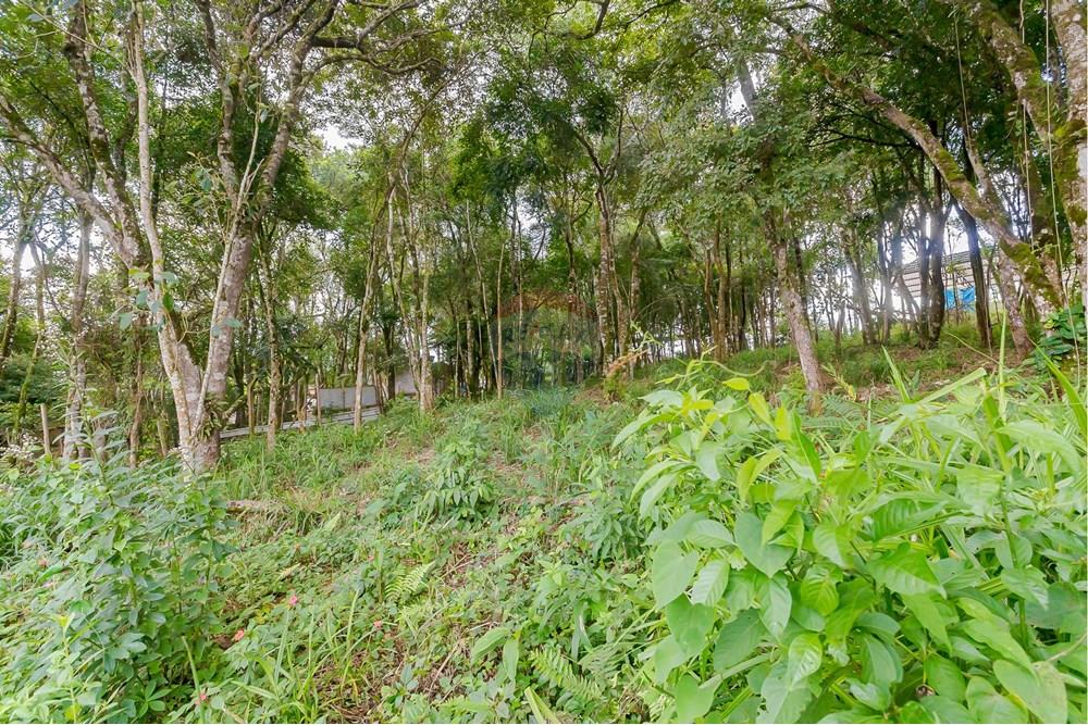 Terreno - Venda - Colombo , Paraná - _MG_7362.jpg - 560391062-13