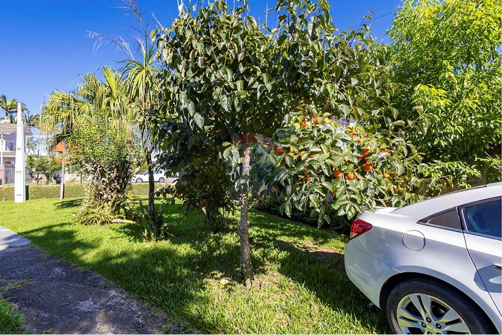 Terreno - Venda - Curitiba , Paraná - 9.jpg - 560411004-78