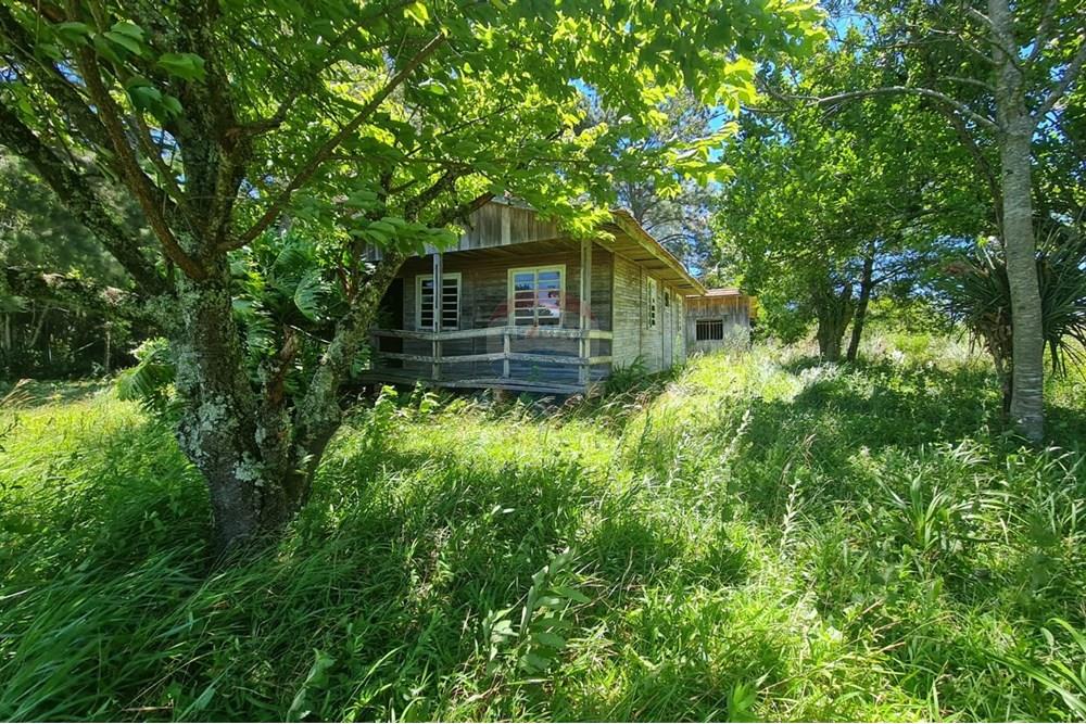 Chácara / Sítio / Fazenda - Venda - São José dos Pinhais , Paraná - 71b638be-0fb5-41a6-b023-150dbb108a40.jpeg - 560331128-24