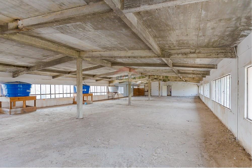 Galpão - Venda - Curitiba , Paraná - IMG_4133.jpg - 560321058-110