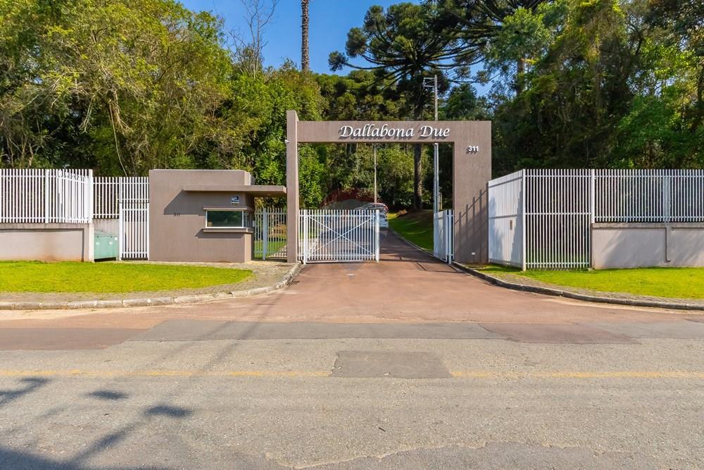 Terreno - Venda - Curitiba , Paraná - IMG_2528.JPG - 560341101-21