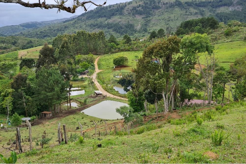 Chácara / Sítio / Fazenda - Venda - Tijucas do Sul , Paraná - c2951fac-3ca5-4bab-9350-bc101257c8d4.jpeg - 560391051-16
