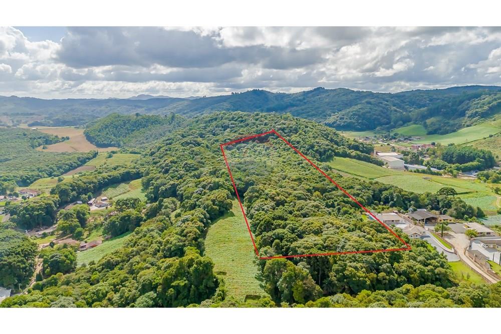 Terreno - Venda - Colombo , Paraná - FOTO DRONE DEMARCADA.jpg - 560391062-11