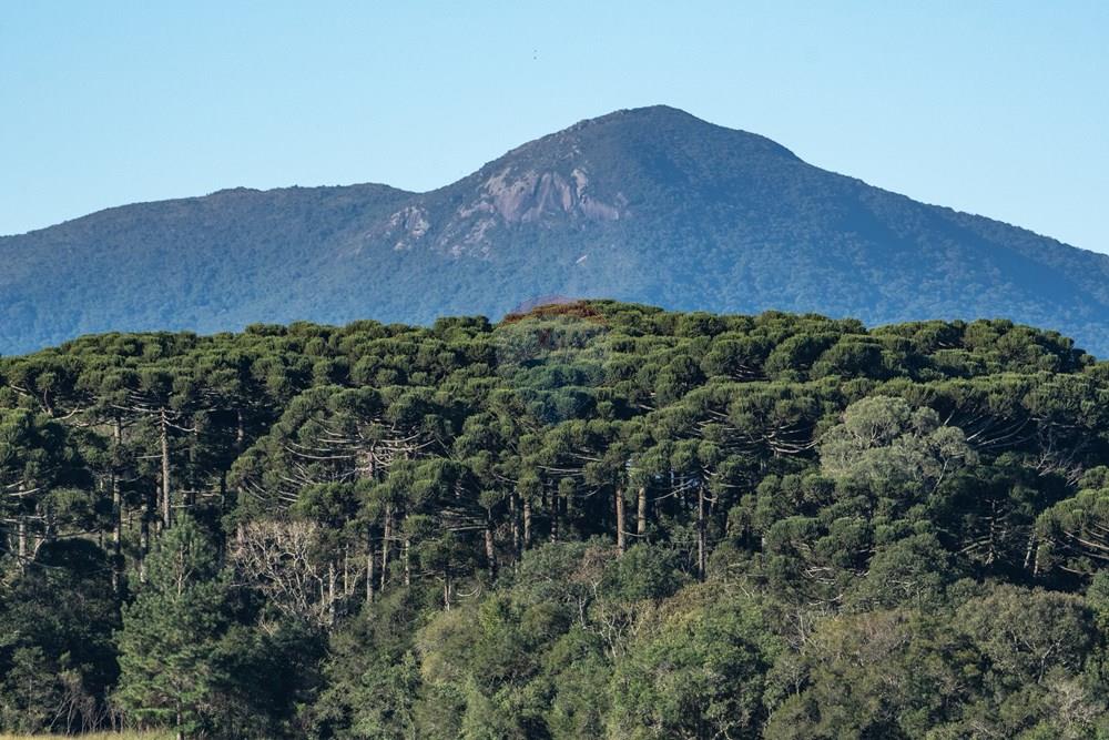 Terreno - Venda - Pinhais , Paraná - 0013- Vista do Morro Anhangava a partir do tereno - Zig Koch.jpg - 560511007-5