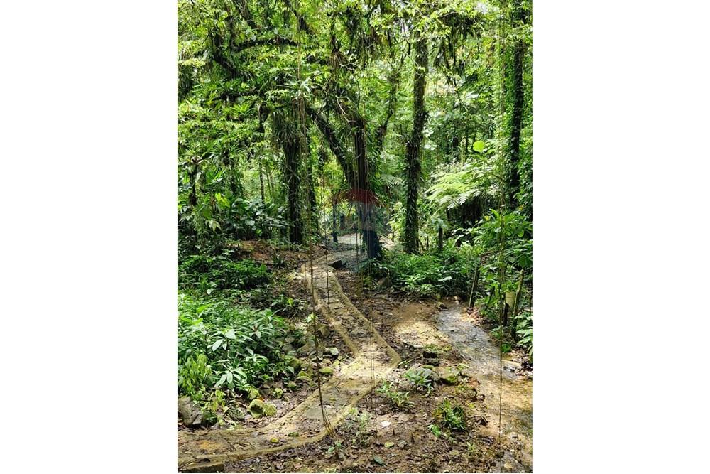 Chácara / Sítio / Fazenda - Venda - Guaratuba , Paraná - IMG-20251007-WA0138.jpg - 560321090-38