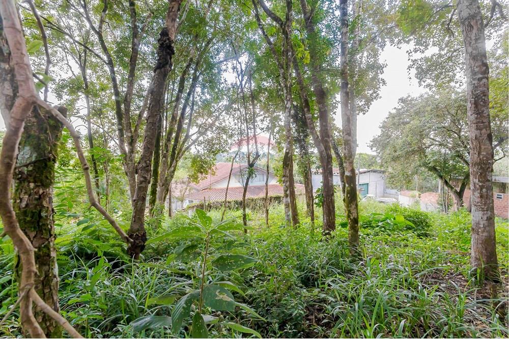 Terreno - Venda - Colombo , Paraná - _MG_7338.jpg - 560391062-13