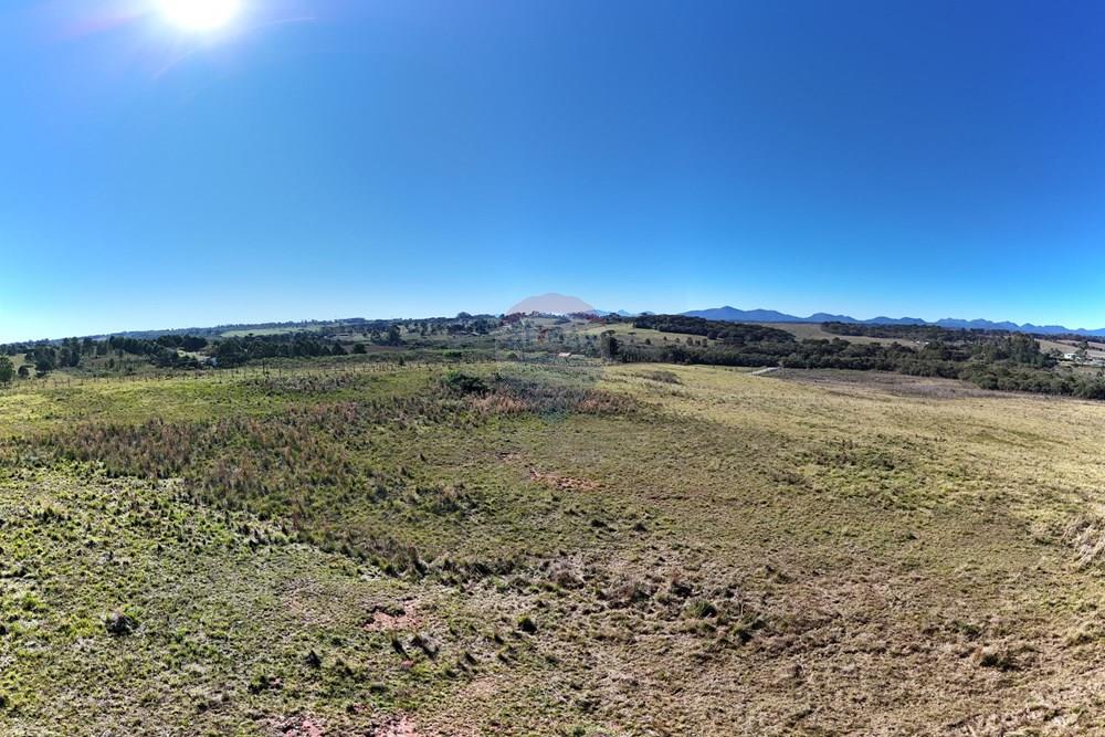 Terreno - Venda - Pinhais , Paraná - PAN-90 gaus - Quadrante Leste.jpg - 560511007-5