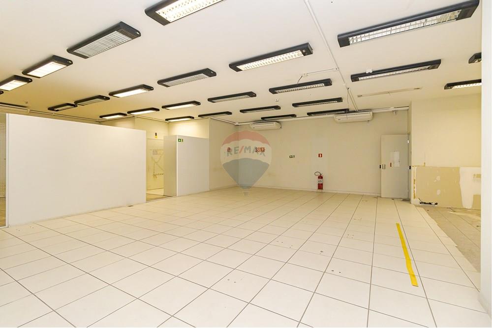 Terreno - Venda - Curitiba , Paraná - IMG_5127.jpg - 560321058-111