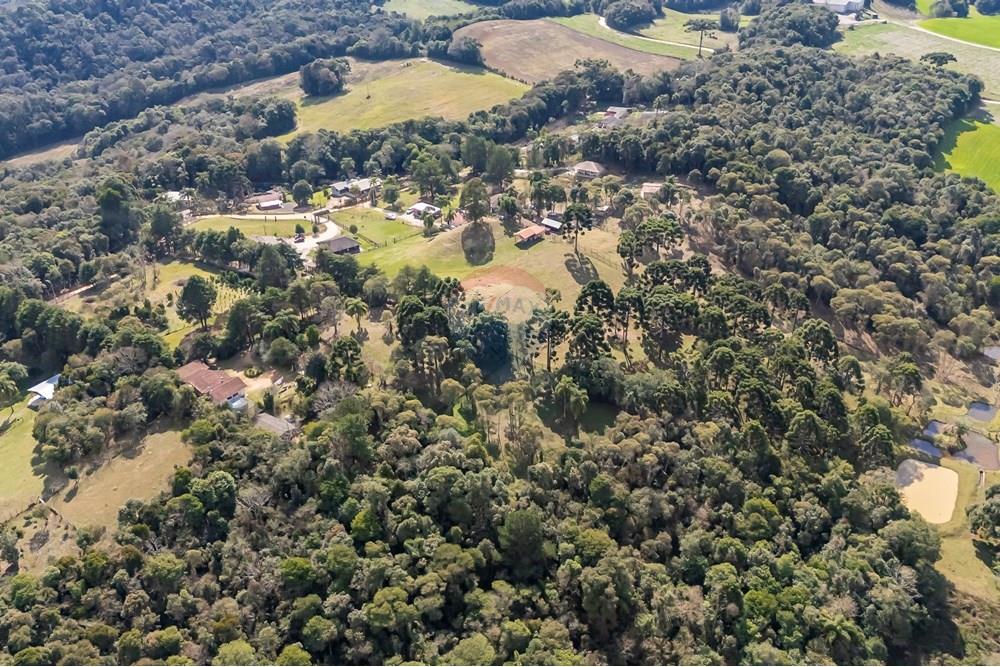 Chácara / Sítio / Fazenda - Venda - Campo Largo , Paraná - F (18).jpg - 560351150-1