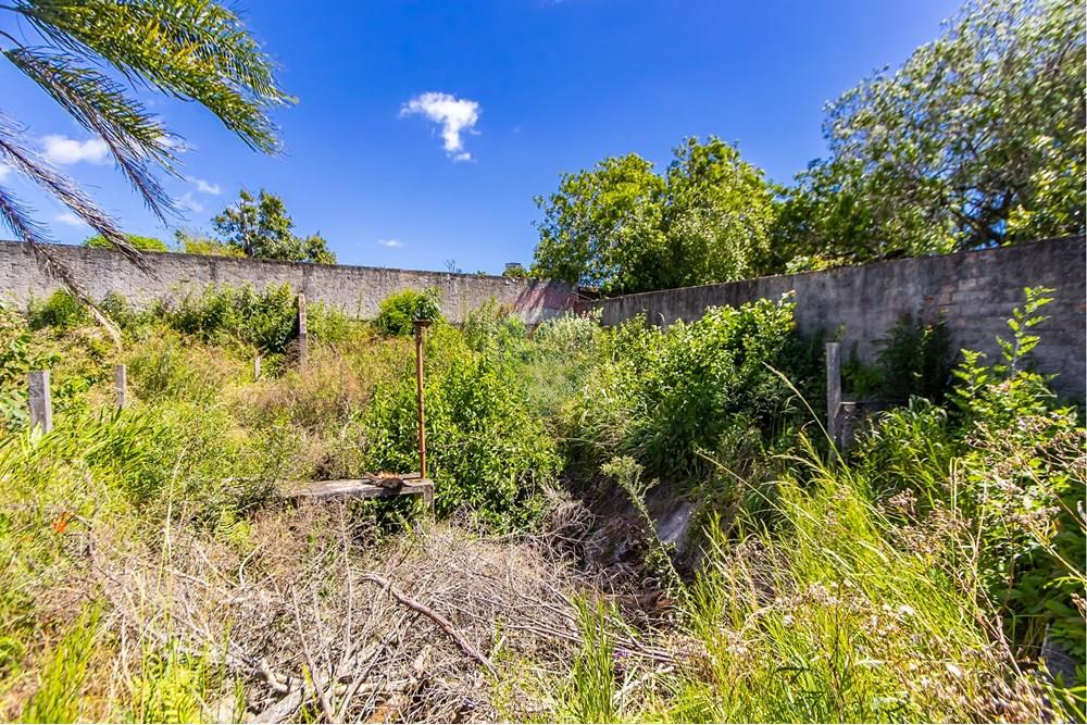 Terreno - Venda - São José dos Pinhais , Paraná - IMG_7259.JPG - 560391051-19