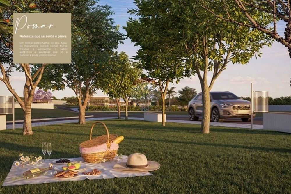 Terreno - Venda - São José dos Pinhais , Paraná - WhatsApp Image 2025-03-05 at 14.17.55 (3).jpeg - 560461002-19