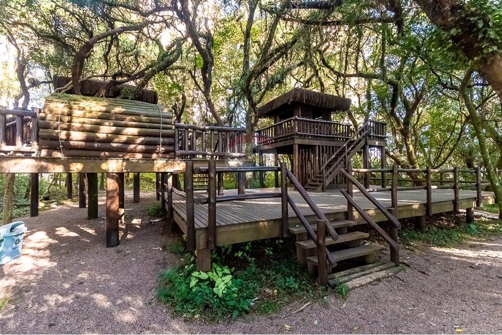 Apartamento - Venda - Curitiba , Paraná - ProfPedroVPdeSouza-75.jpg - 560311047-425